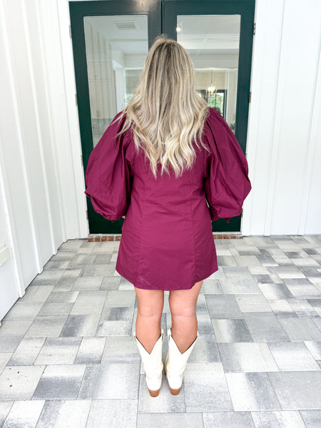Plum Shirt Dress