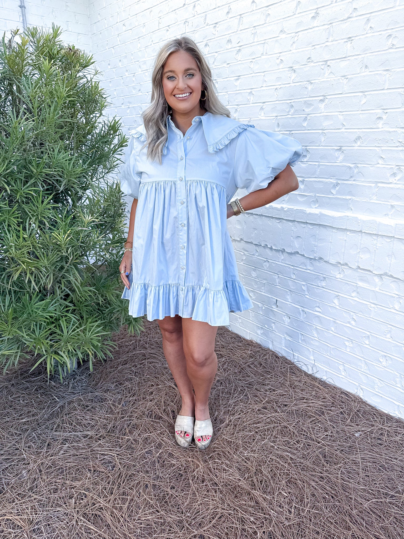 Ruffled Collar Dress