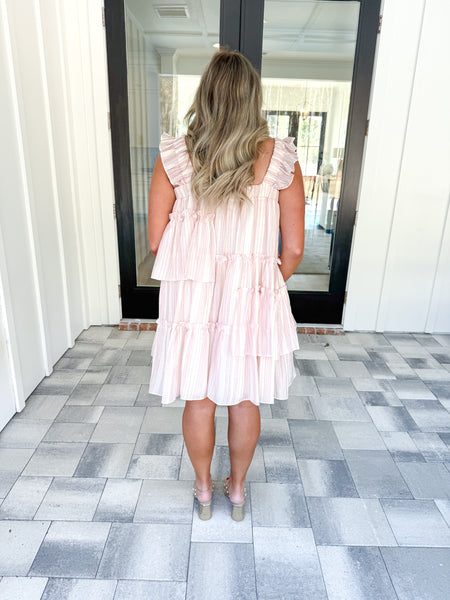 Delphine Blush Stripe Dress