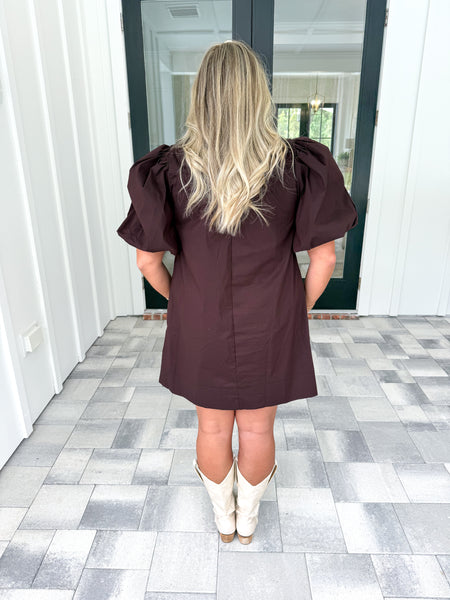 Brown Puff Sleeve Dress